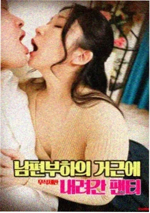 龙猫